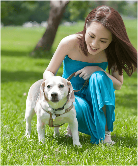 链分析：现状、痛点、需求、趋势mg不朽情缘宠物食品行业产业(图3)