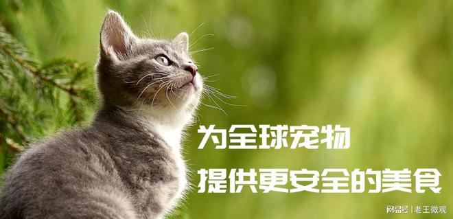 ：匠心品质引领宠物食品新风尚不朽情缘游戏手机版汉欧宠物(图2)