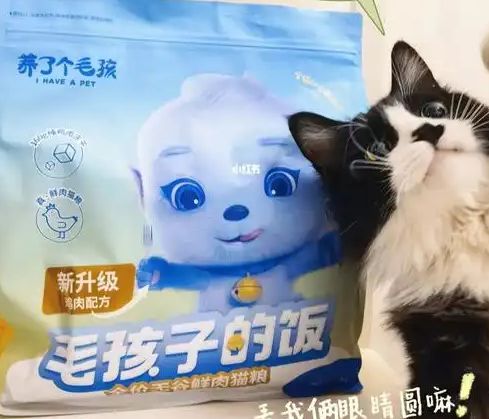 口粮！三只松鼠靠什么重返宠物食品赛道不朽情缘游戏手机版零食巨头盯上毛孩子(图2)