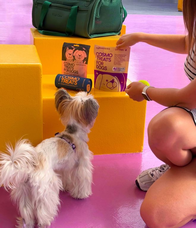 mopet宠物零食以昆虫蛋白开辟全新赛道不朽情缘电子游戏网址中俄联合品牌cos(图2)