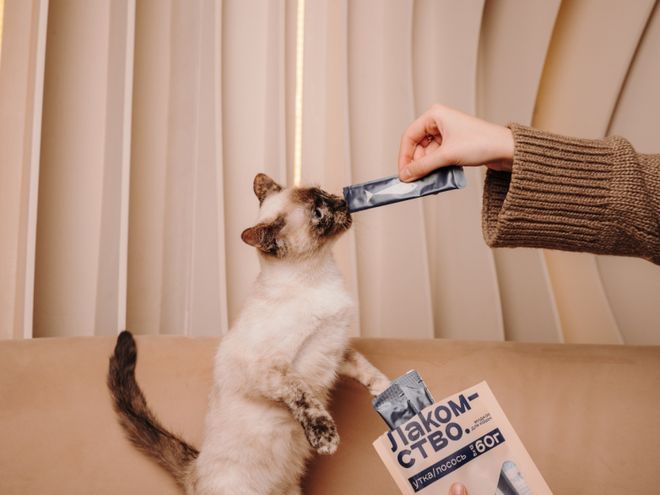 mopet宠物零食以昆虫蛋白开辟全新赛道不朽情缘电子游戏网址中俄联合品牌cos(图1)